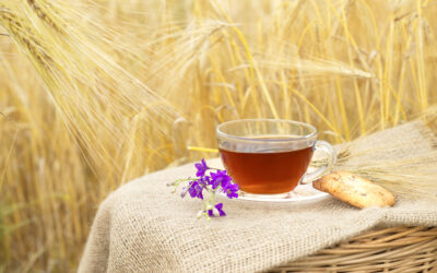 Barley Tea – Healthy Caffeine-Free Detox Brew Made from Himalayan Barley