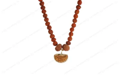Dhan Briddhi Rudraksha Mala