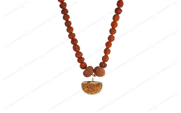 Dhan Briddhi Rudraksha Mala