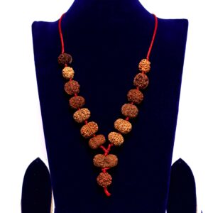 Rudraksha Siddha Mala