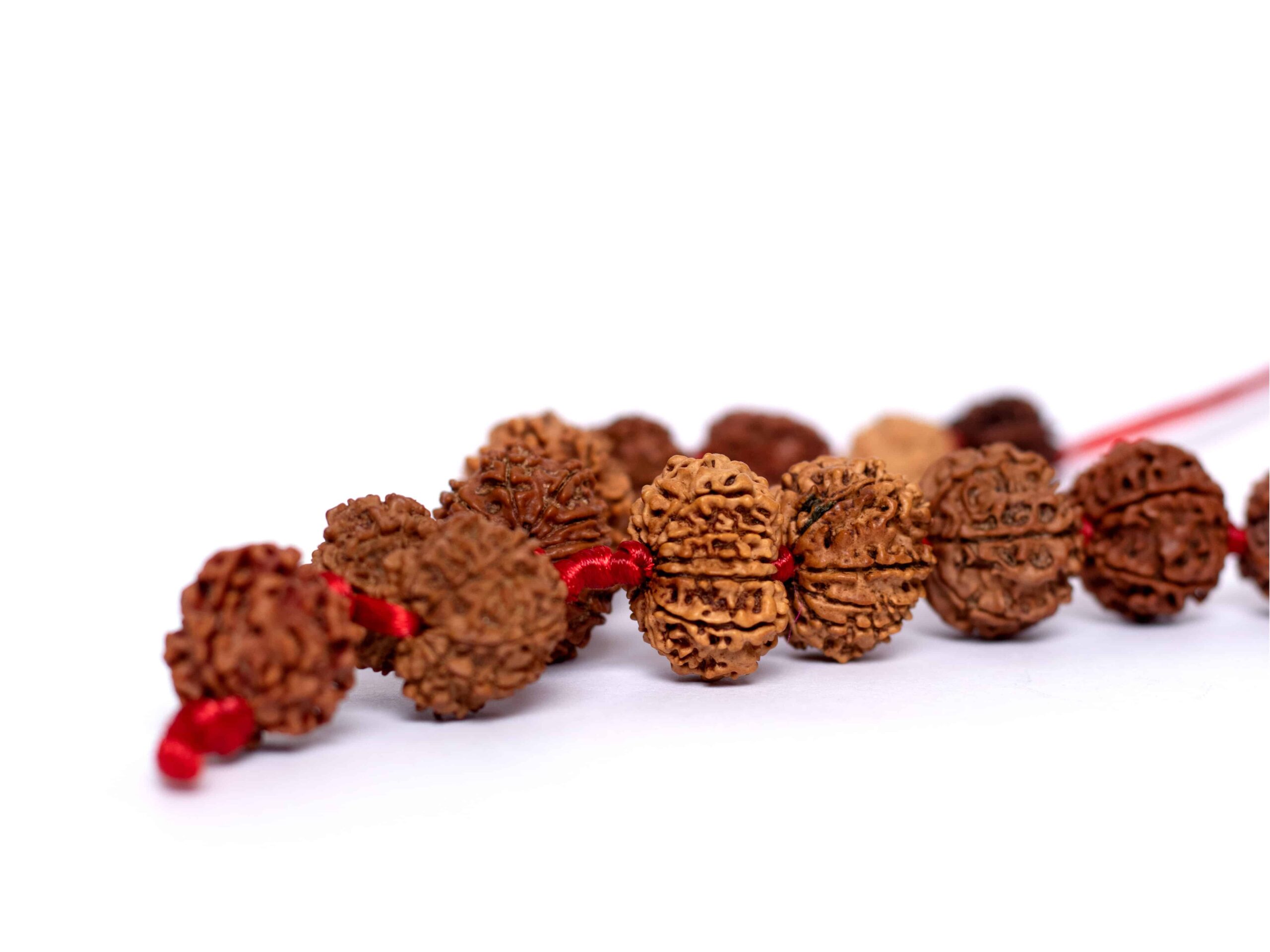 Rudraksha Siddha Mala for Spiritual energy
