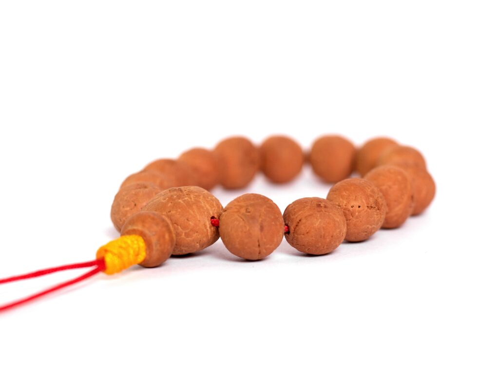 Three Eye Bodhi Chitta Bracelet - Healthy Foods Healthy Goods